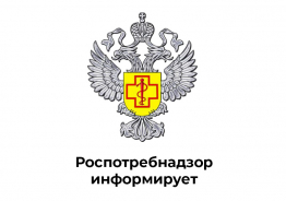 Осторожно, дикие и бродячие животные: Роспотребнадзор напоминает о мерах безопасности.